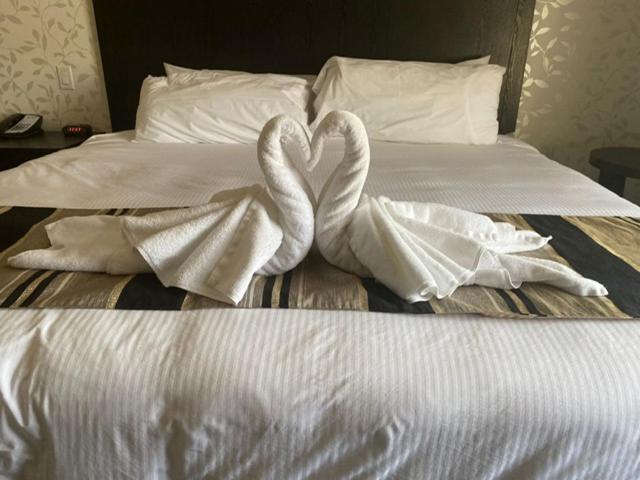 Stars Inn Leduc Esterno foto
